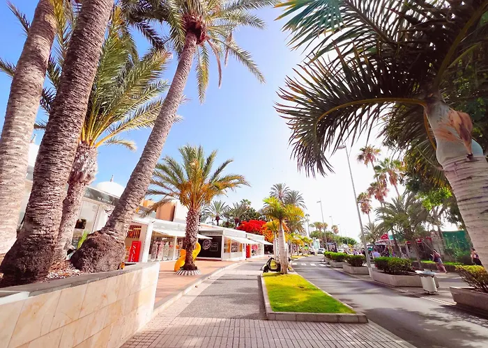 Ocean View! Parque Americas! Heated Pool, Ac! La05 * 플라야데라스아메리카스