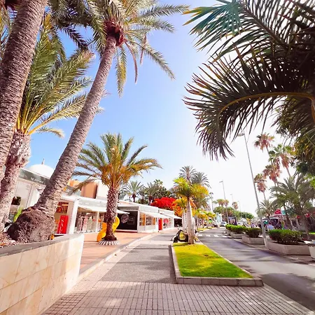 Ocean View! Parque Americas! Heated Pool, Ac! La05 * פלאייה דה לאס אמריקס